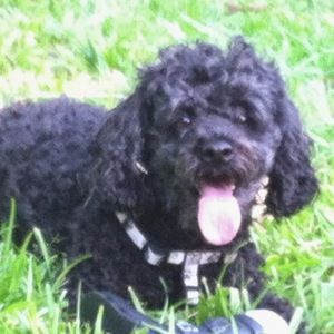 Meet your Posher, Rachael